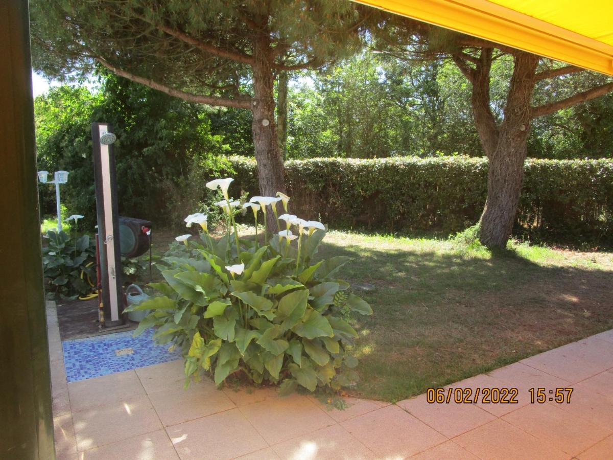 Locatlantique Bed & Breakfast Aytre Exterior photo